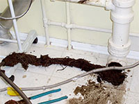 Извлечение корней из трубы канализации аппаратом ROTHENBERGER в Алматы